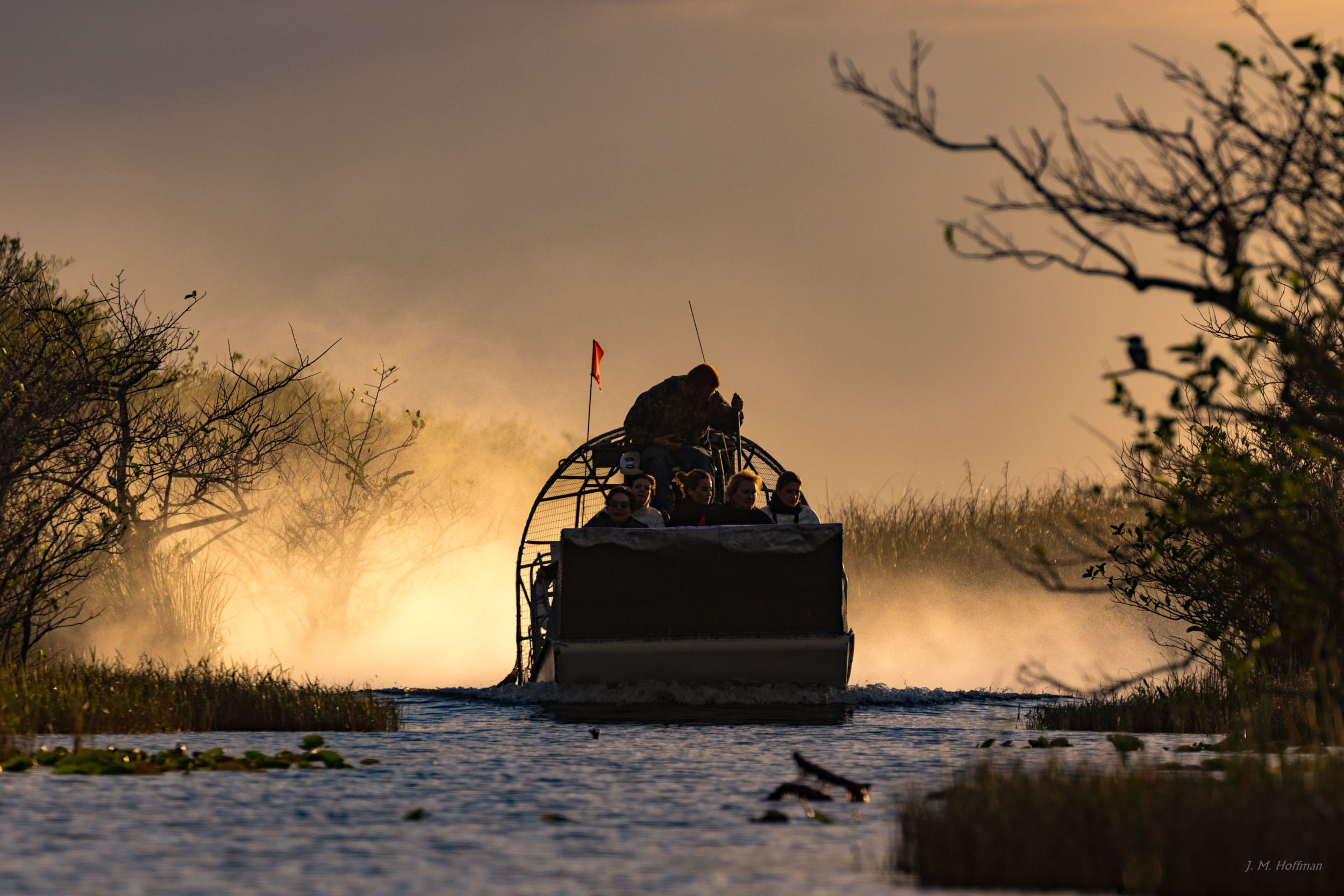 Airboat in the Everglades: Everglades, FL