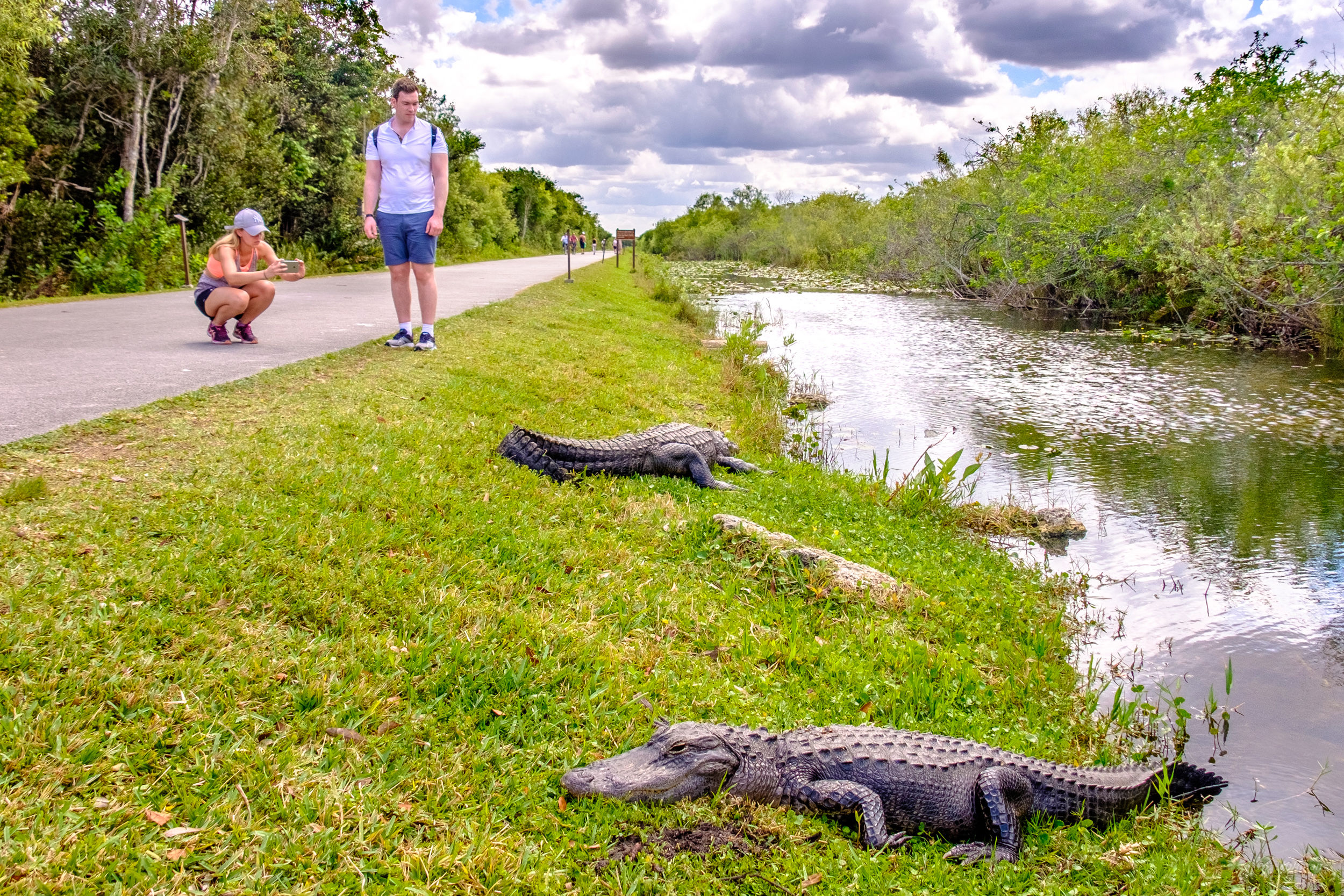 Shark Valley: Everglades, FL