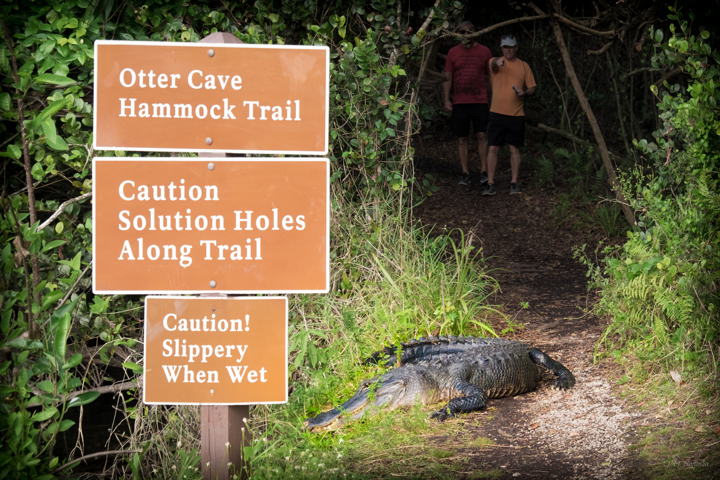 Caution: Everglades, FL