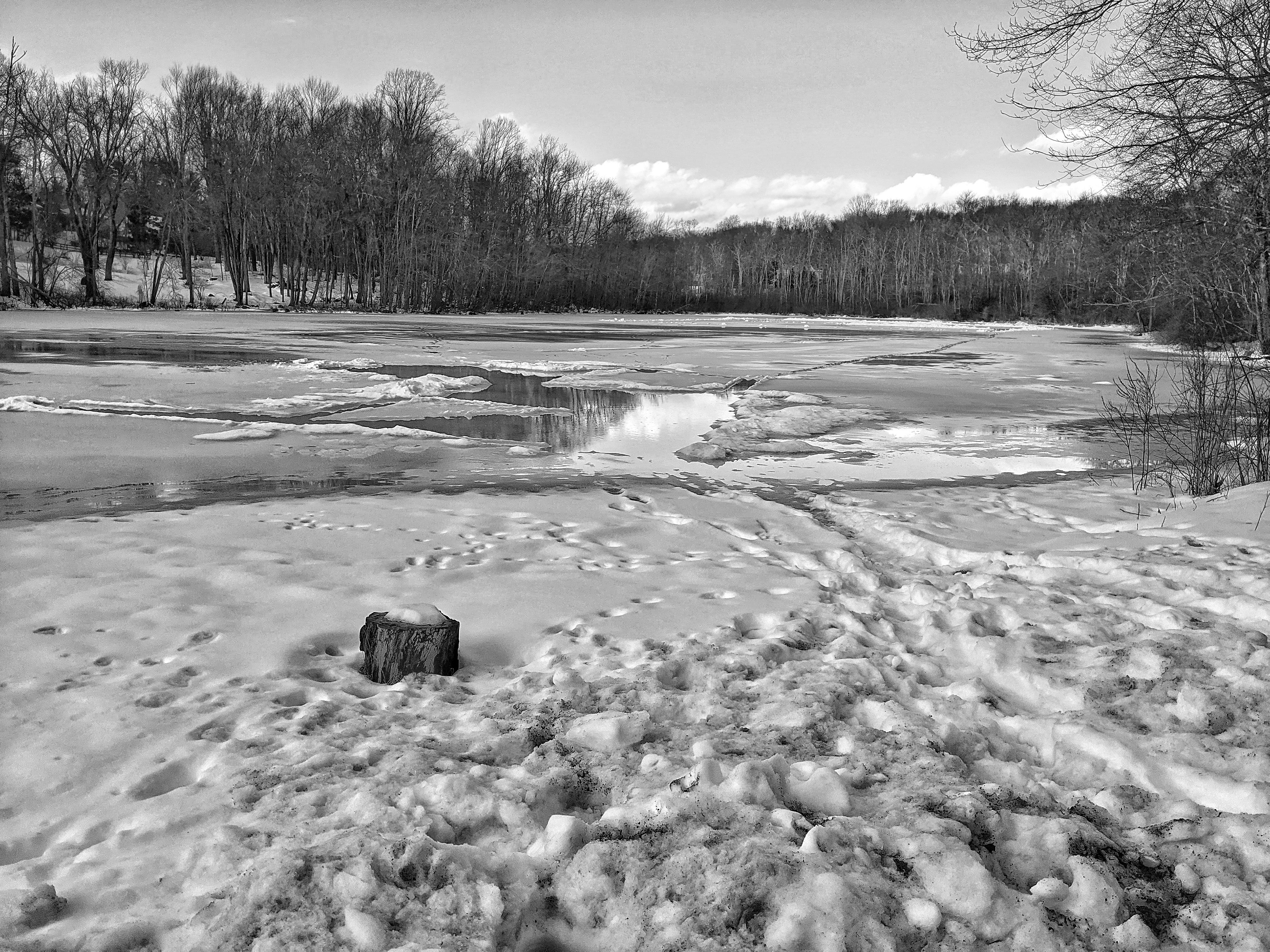 Frozen Beauty: Westchester, NY
