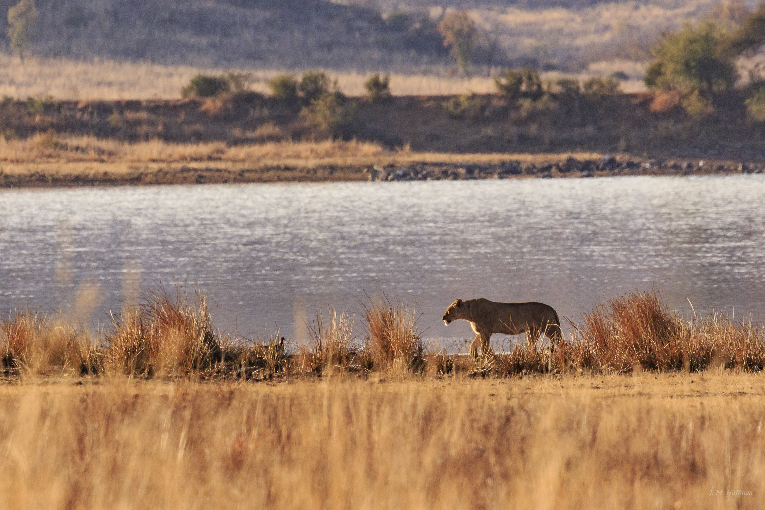 7 Things to Do Before Your First Trip to South Africa (The Points Guy): 