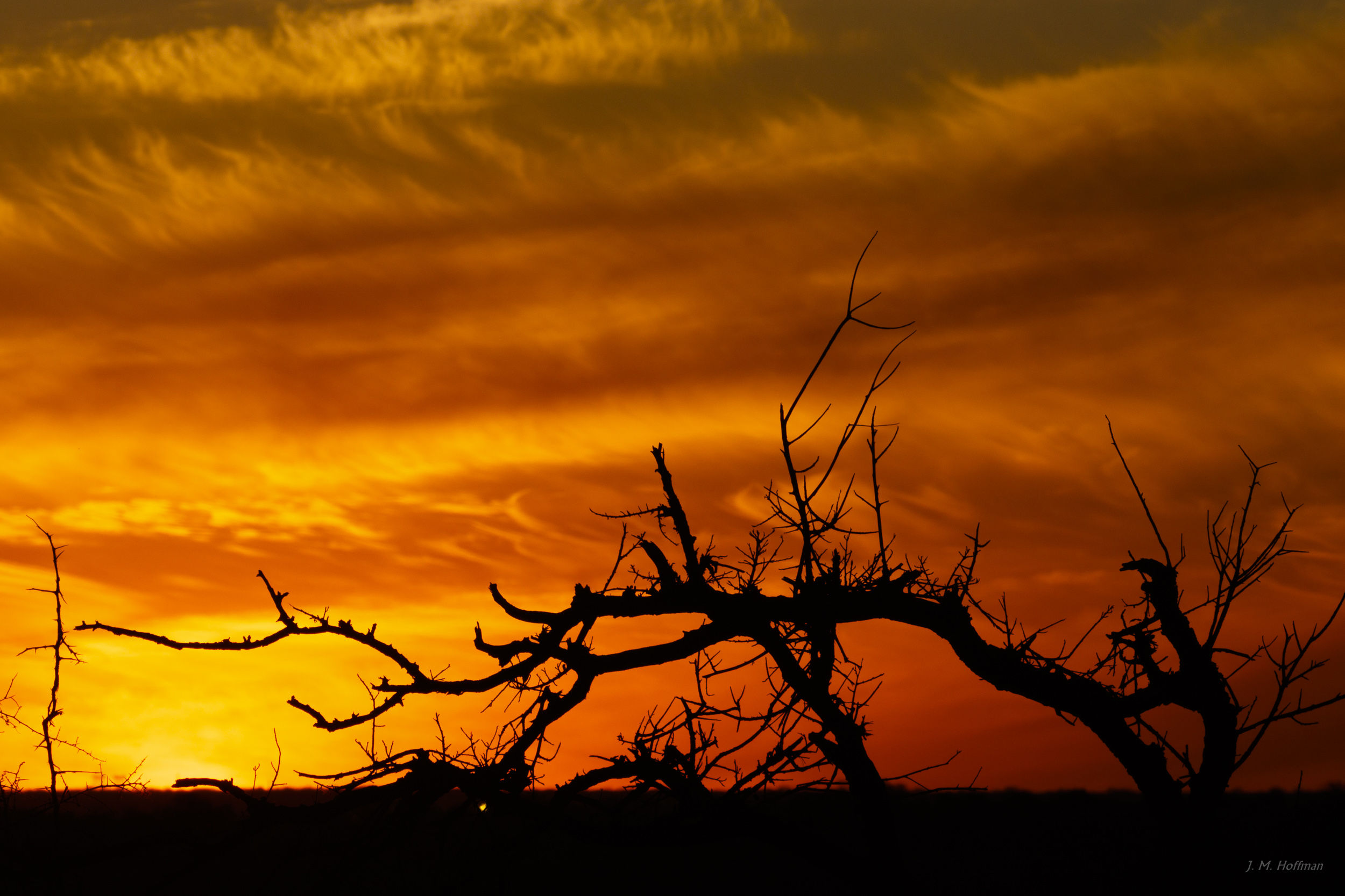 Sunset in Africa: The Pilanesberg, South Afirca