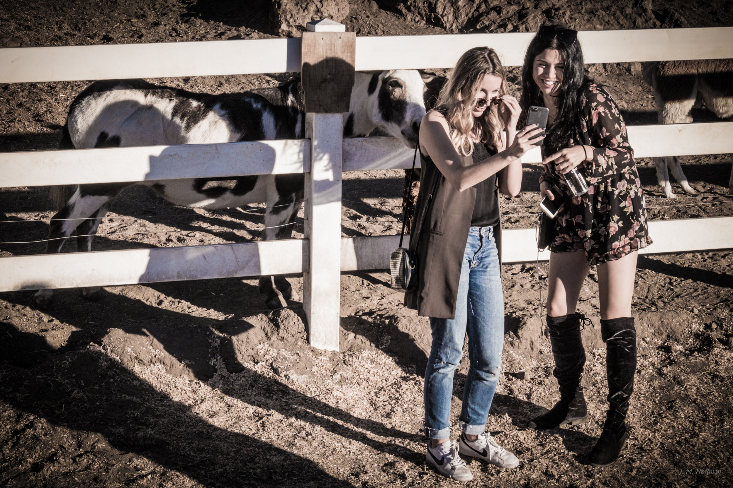 Sharing the Experience: Malibu Wine Safaris
