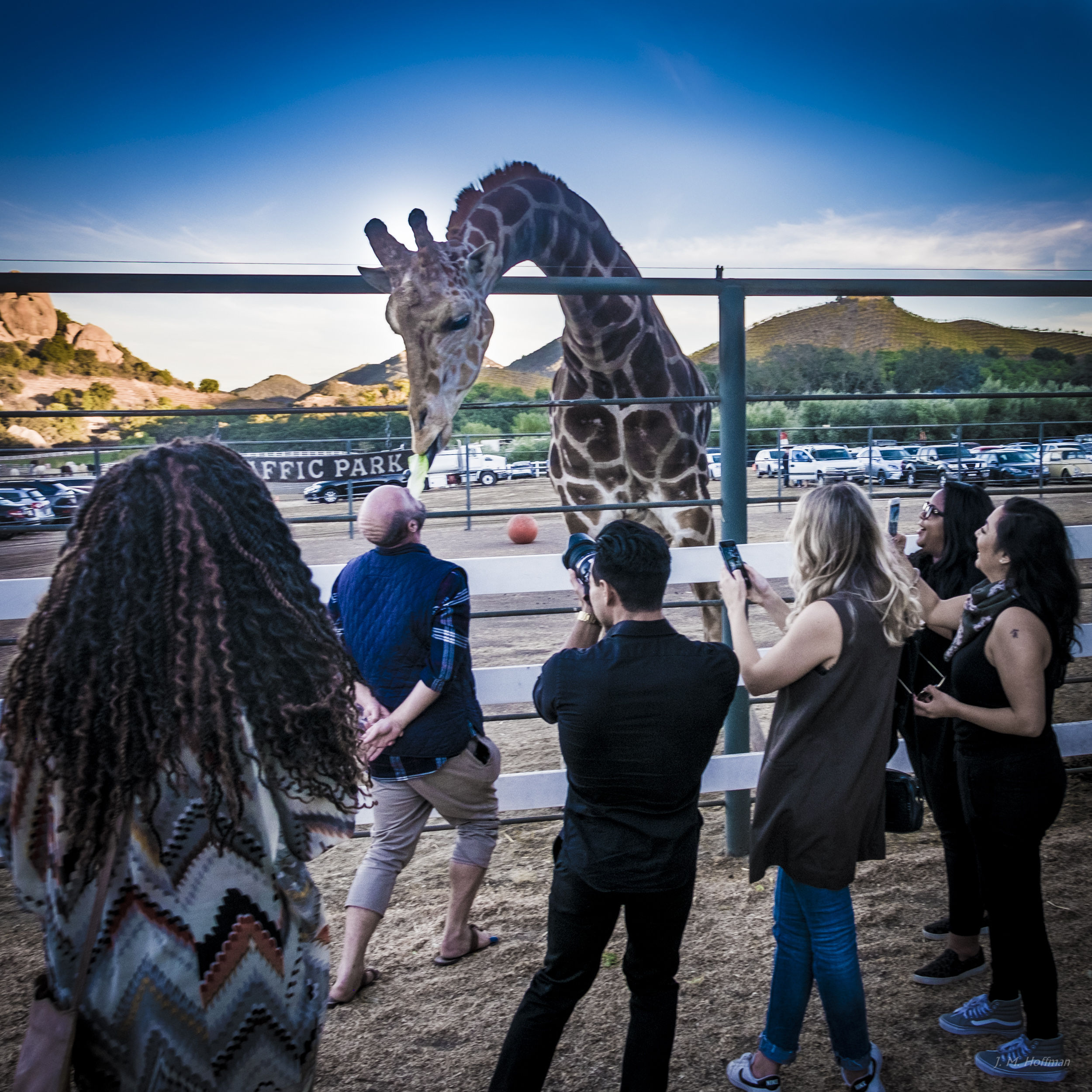 Feeding Stanley: Malibu Wine Safaris