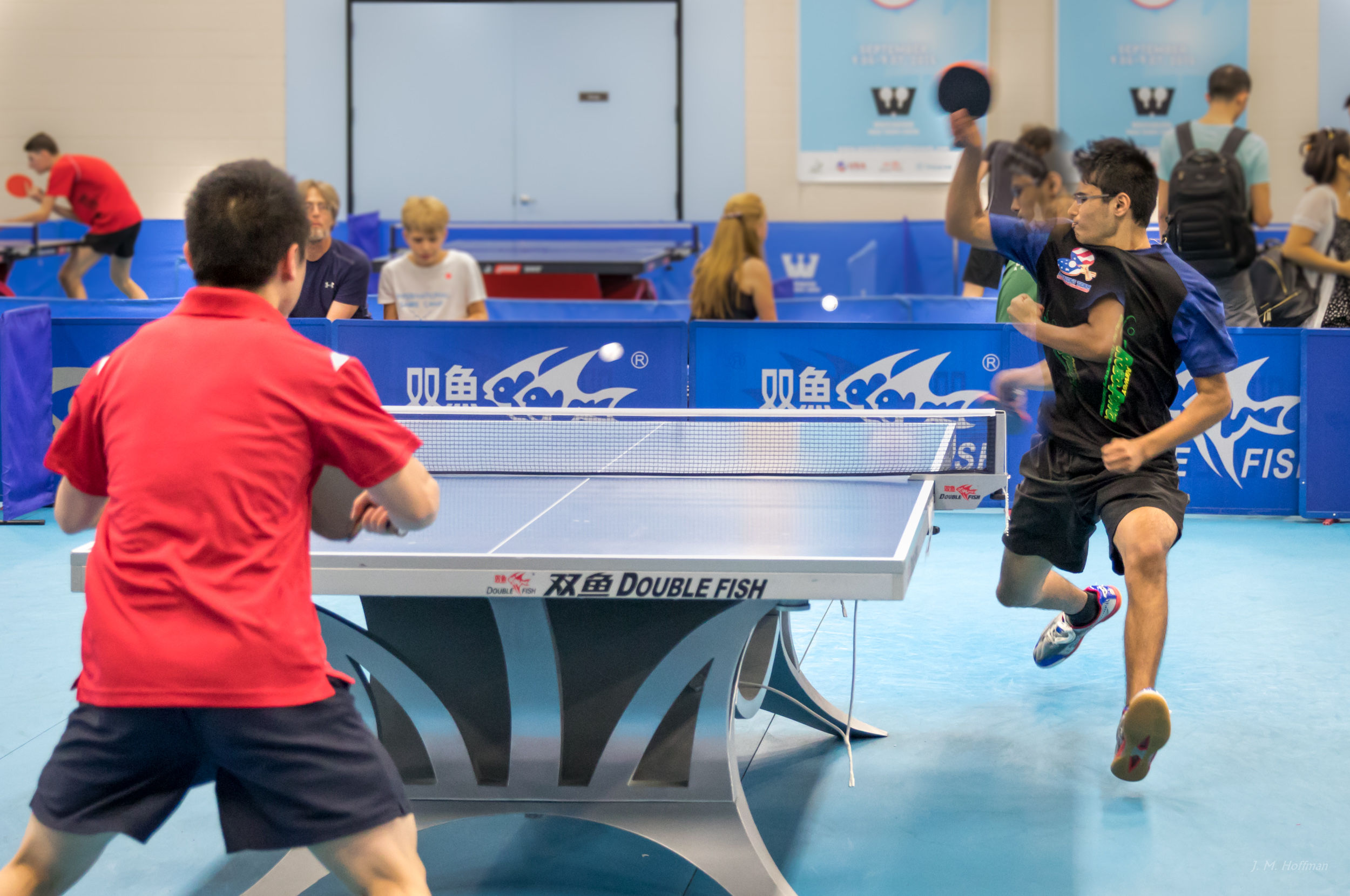 Running Loop: Westchester, NY