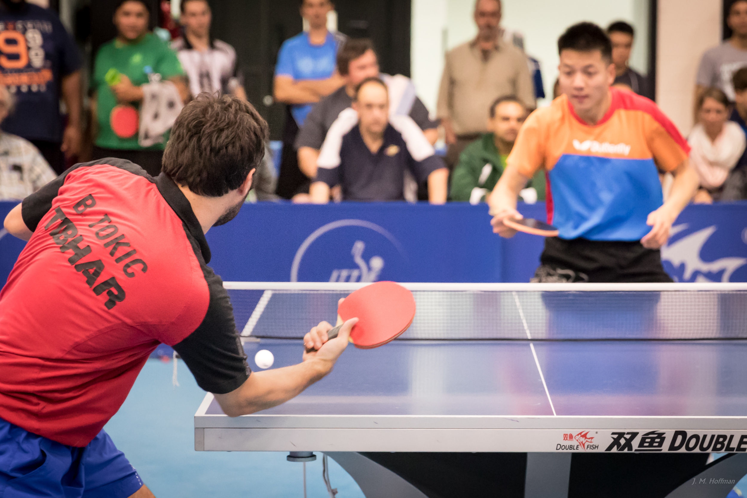 Serve: Westchester, NY