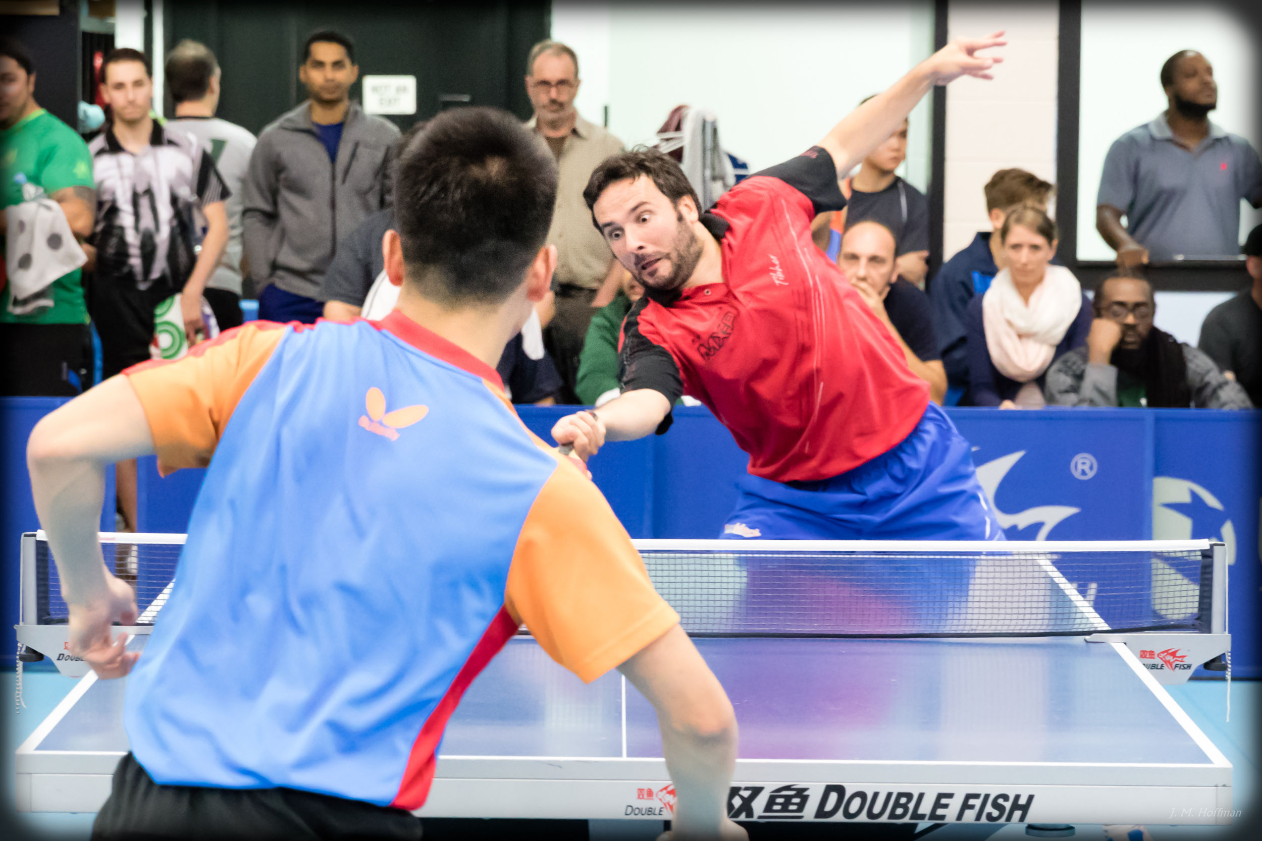 Nobody Panic!: Westchester, NY